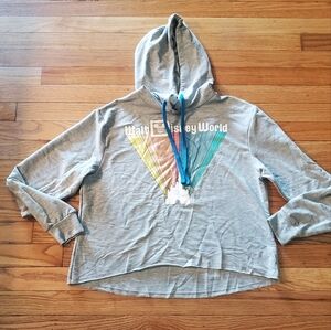 Gray Walt Disney World Hoodie